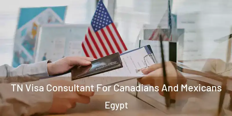  TN Visa Consultant For Canadians And Mexicans Egypt